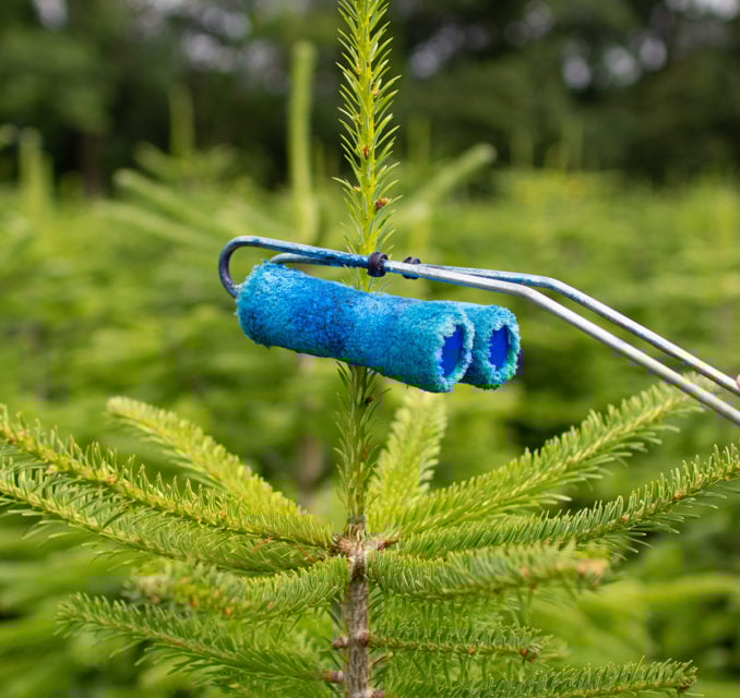 Image of equipment surrounding Christmas tree